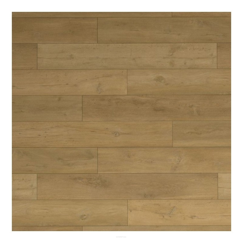 VinylTechLab Panele Winylowe Woodlands Sienna 05EIR-028 AC5/7mm