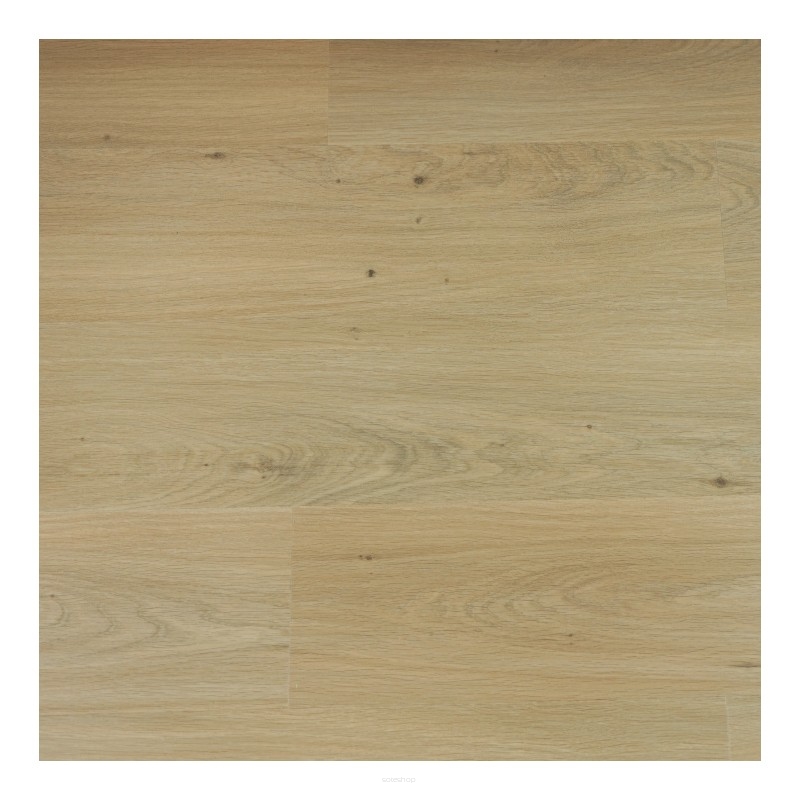 VinylTechLab Panele Winylowe Dawn 2 Dusk Dąb Sunlight 05LE-038 AC5/6mm
