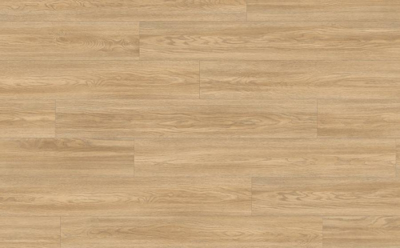 Panele podłogowe Dąb Soria Naturalna Egger EPL179 AC4 8mm Transport Gratis