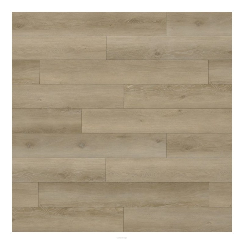 VinylTechLab Panele Winylowe Woodlands Ivory 05EIR-025 AC5/7mm